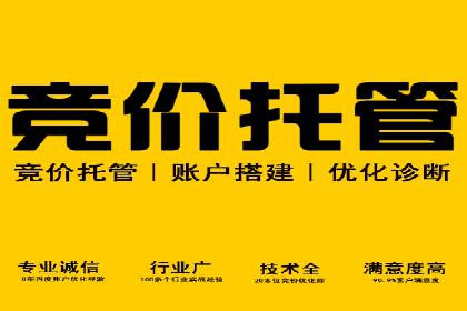 如何在sem推广竞价中脱颖而出：案例解析与策略
